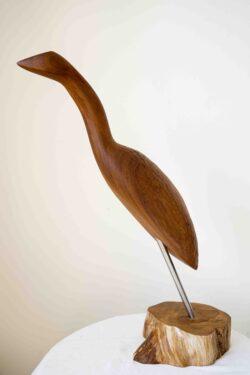 Alternative view of Fleet